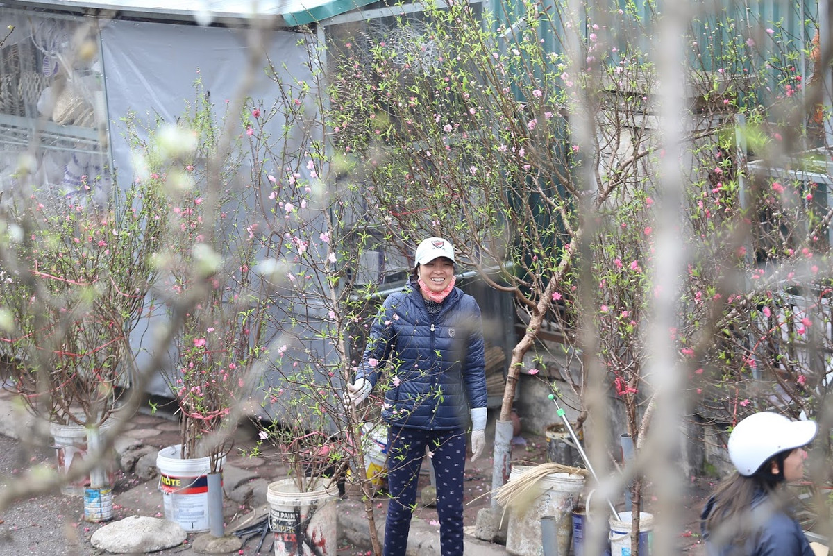 Mấy năm nay, người dân Hà Nội rộ mốt chơi hoa lê sau Tết, một phần vì hoa lê trắng đẹp để trong nhà sẽ sáng hơn, phần khác vì mua hoa lê dịp này để chơi rằm tháng Giêng.