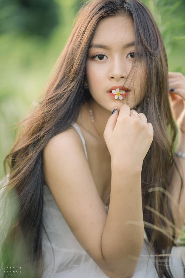 Nguyễn Tố Anh sinh năm 1999, cô nàng là cựu học sinh trường THPT chuyên Trần Phú, Hải Phòng. Sau khi hoàn thành xong chương trình trung học phổ thông, nàng thơ áo dài Hải Phòng theo học tại trường Vatel Bordeaux (Pháp), sau đó cô chuyển qua Mỹ học tiếp ngành Quản trị kinh doanh và Quản trị du lịch khách sạn tại đại học Alliant International.