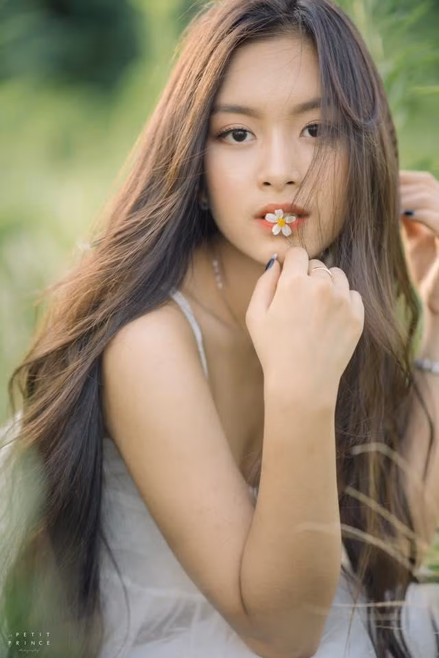 Nguyễn Tố Anh sinh năm 1999, cô nàng là cựu học sinh trường THPT chuyên Trần Phú, Hải Phòng. Sau khi hoàn thành xong chương trình trung học phổ thông, nàng thơ áo dài Hải Phòng theo học tại trường Vatel Bordeaux (Pháp), sau đó cô chuyển qua Mỹ học tiếp ngành Quản trị kinh doanh và Quản trị du lịch khách sạn tại đại học Alliant International.