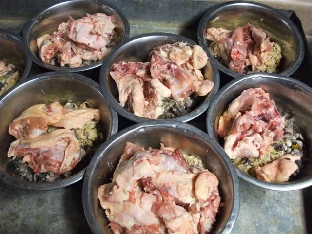 Bên cạnh việc bình luận, các dân mạng cũng rất sôi nổi chia sẻ những thực đơn của chú chó nhà mình, kèm theo đó là những lời so sánh với chế độ ăn của chúng với chú chó Alaska của thành viên Hải Nhật. Ảnh sử dụng trong bài: Sưu tầm Facebook.