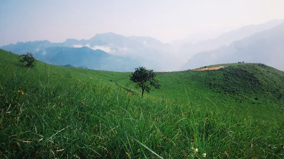 Đồi cỏ Phiêng Mường là địa điểm thuộc xã Quảng Lâm, huyện Bảo Lâm, Cao Bằng, cách thành phố Cao Bằng 160km và cách thị trấn 10km.