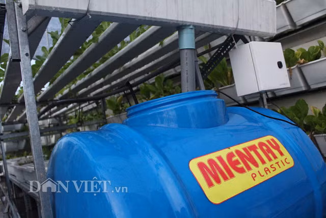 Bồn chứa, ống dẫn nước trong phương pháp tưới thủy canh hồi lưu.