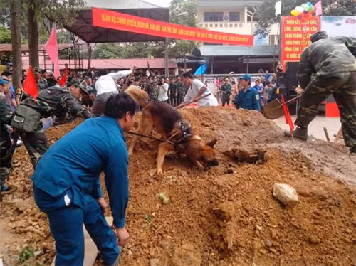 Chó nghiệp vụ tìm nạn nhân bị vùi lấp trong đống sạt lở.