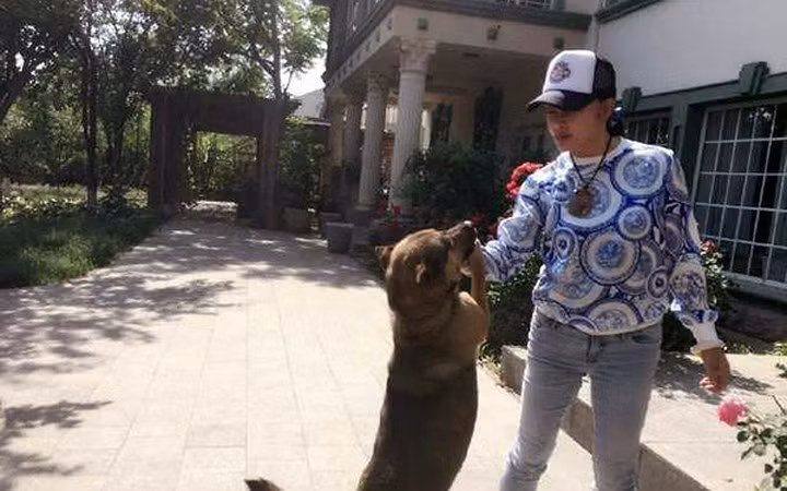 Diễn viên vào vai nhân vật nổi tiếng“Võ Tắc Thiên” có tên thật là Lưu Hiểu Khánh mới đây đã chia sẻ một số bức ảnh bà đi dạo với cún cưng trong khuôn viên biệt thự của mình khiến ai cũng choáng ngợp. Ngôi biệt thự của Lưu Hiểu Khánh rộng như công viên với diện tích gần 4.000 m2.