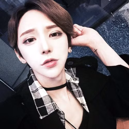 Sau khi nhận được nhiều sự quan tâm, Jinho bắt đầu bước chân vào làng người mẫu chuyên nghiệp, từng xuất hiện trên truyền hình Hàn Quốc.