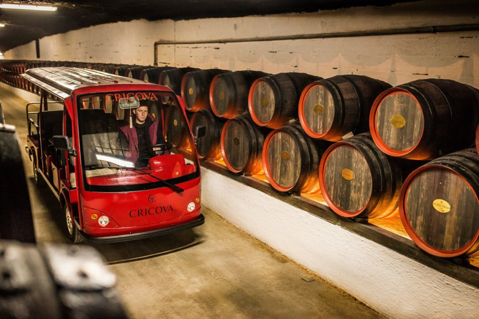 ... hay tới vườn Cricova gần đó để trải nghiệm hệ thống đường hầm dài 120 km. Ảnh: Winetours Moldova.