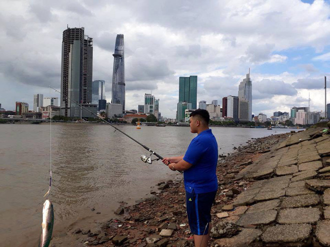 Nhưng không, dân mạng vẫn luôn biết cách gây chú ý dưới những bình luận và thành quả thực tế thì thực sự làm thảm họa.