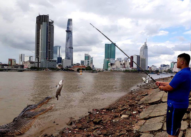 Mục đích của nam thanh niên là nhờ photoshop cho một chú cá xuất hiện đang ngậm lưỡi câu. Nếu làm "có tâm" và đẹp, bức ảnh sẽ trở nên rất đẹp.