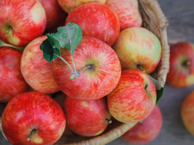 Táo: Các chất pectin trong táo có tác dụng trung hòa axit dạ dày và giảm chóng mặt, buồn nôn. Ăn táo khi đang ngồi trên xe hoặc uống nước ép táo trước khi lên xe sẽ giúp bạn tỉnh táo. Ảnh: Bemagazine.