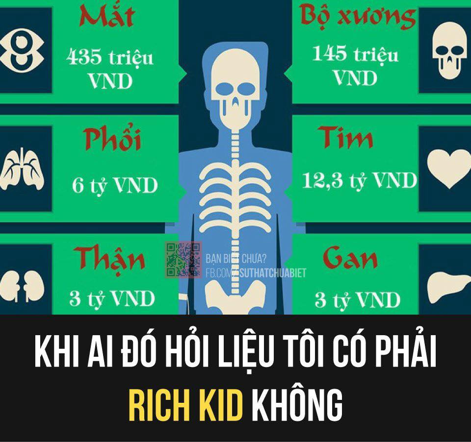 Sự "lầy lội" của dân mạng khi muốn bước chân vào giới "Rich Kid" khi khoe nội tạng tiền tỷ của mình.