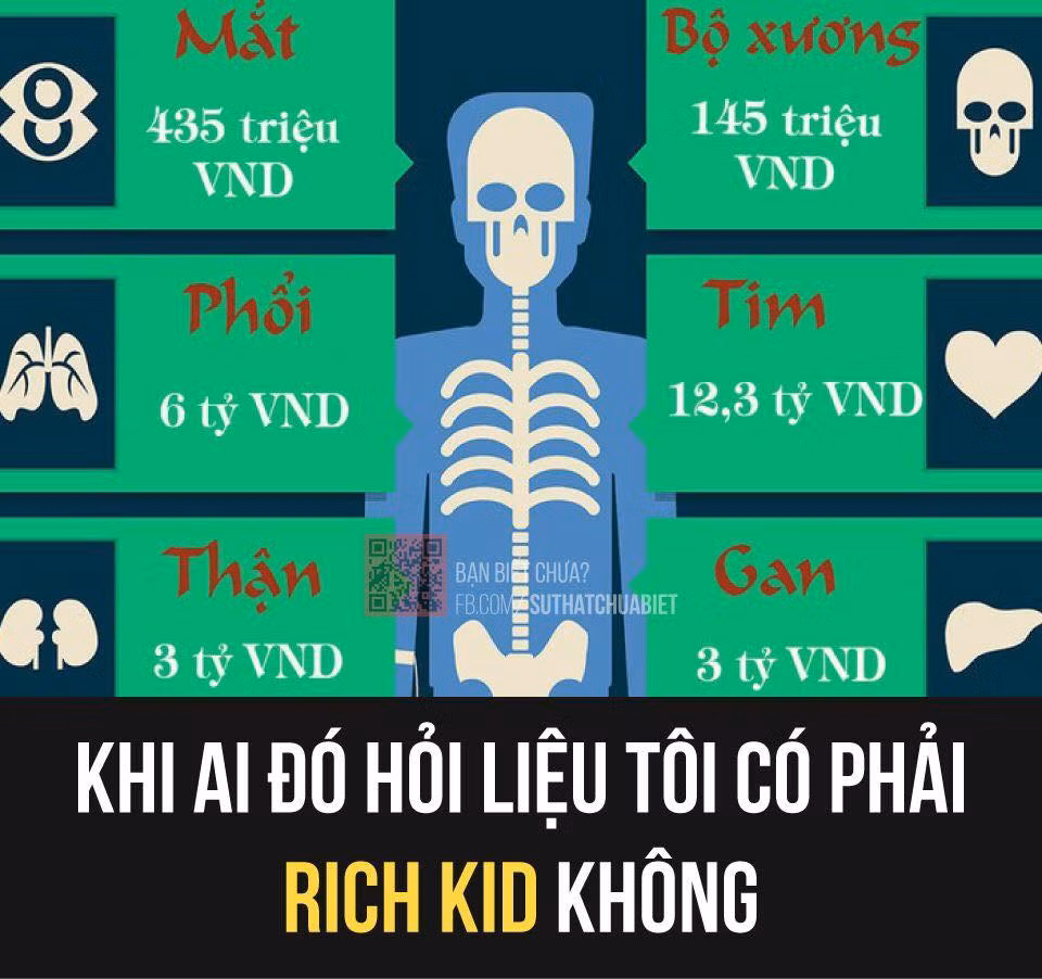 Sự "lầy lội" của dân mạng khi muốn bước chân vào giới "Rich Kid" khi khoe nội tạng tiền tỷ của mình.