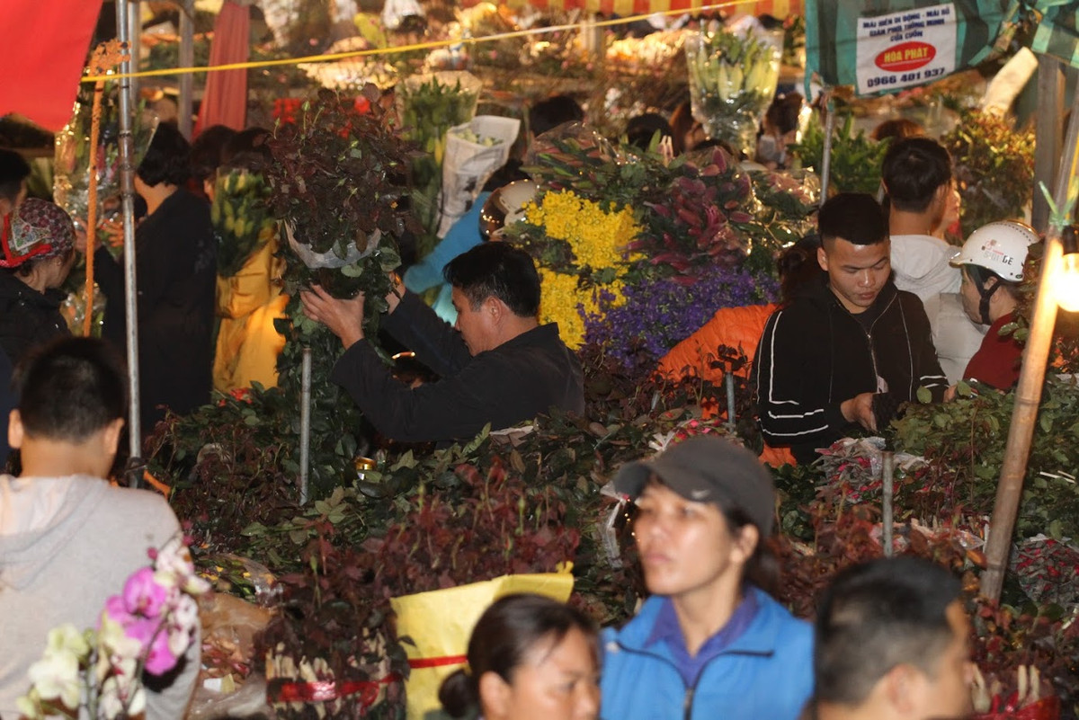 Tại khi chợ họp vào lúc nửa đêm này, có vô vàn những loại hoa từ trong nước cho tới ngoại nhập để thỏa mãn nhu cầu trang trí nhà dịp Tết của những người dân.