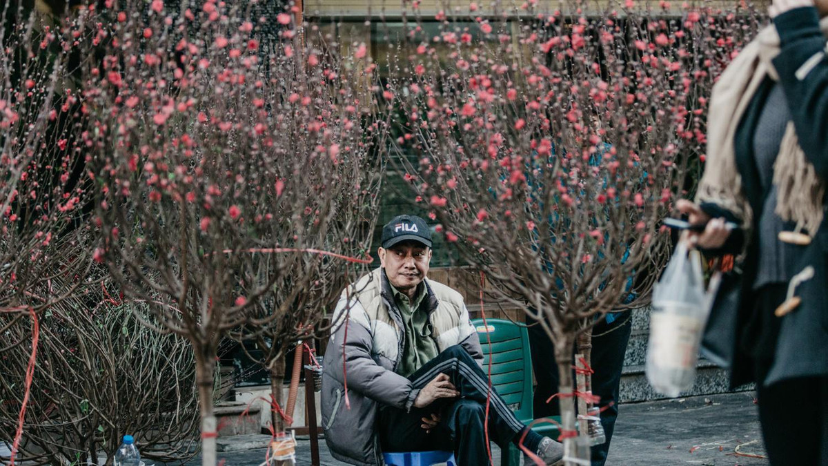 Người Hà Nội đi chợ hoa thường ngắm nhiều hơn mua, đó như một thú vui. Thế nên, có lẽ chỉ có người Hà Nội mới nói "đi chơi chợ hoa" mà không phải là "đi chợ mua hoa" như nhiều nơi khác.