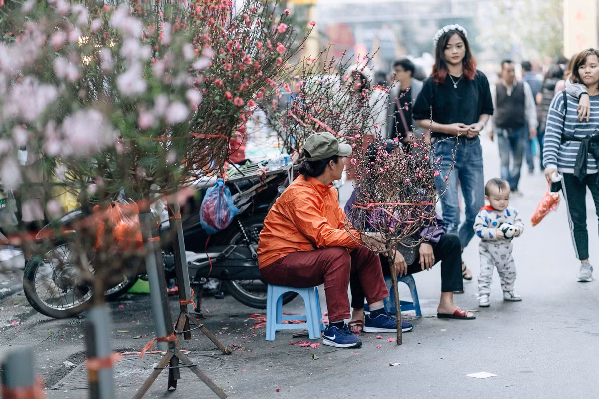 Chợ Hàng Lược nằm trọn chiều dài của phố Hàng Lược và một phần các phố Hàng Chai, Hàng Rươi, Hàng Mã, Hàng Đồng. Mỗi năm, chợ chỉ họp đúng một phiên duy nhất, từ 20 tháng Chạp đến tận chiều tối 30 Tết.