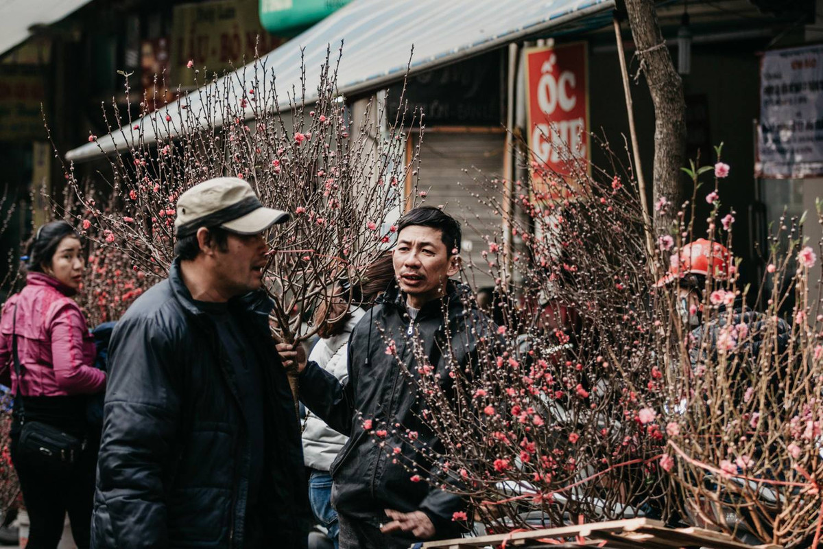 Bất kỳ người Hà Nội nào, cũng có ít nhiều kỷ niệm với chợ hoa Hàng Lược. Đến chợ, không vội vàng, hối hả, không bon chen, xô lấn, phải thật sự kiên nhẫn, nhấn nhá vừa đi vừa ngắm.