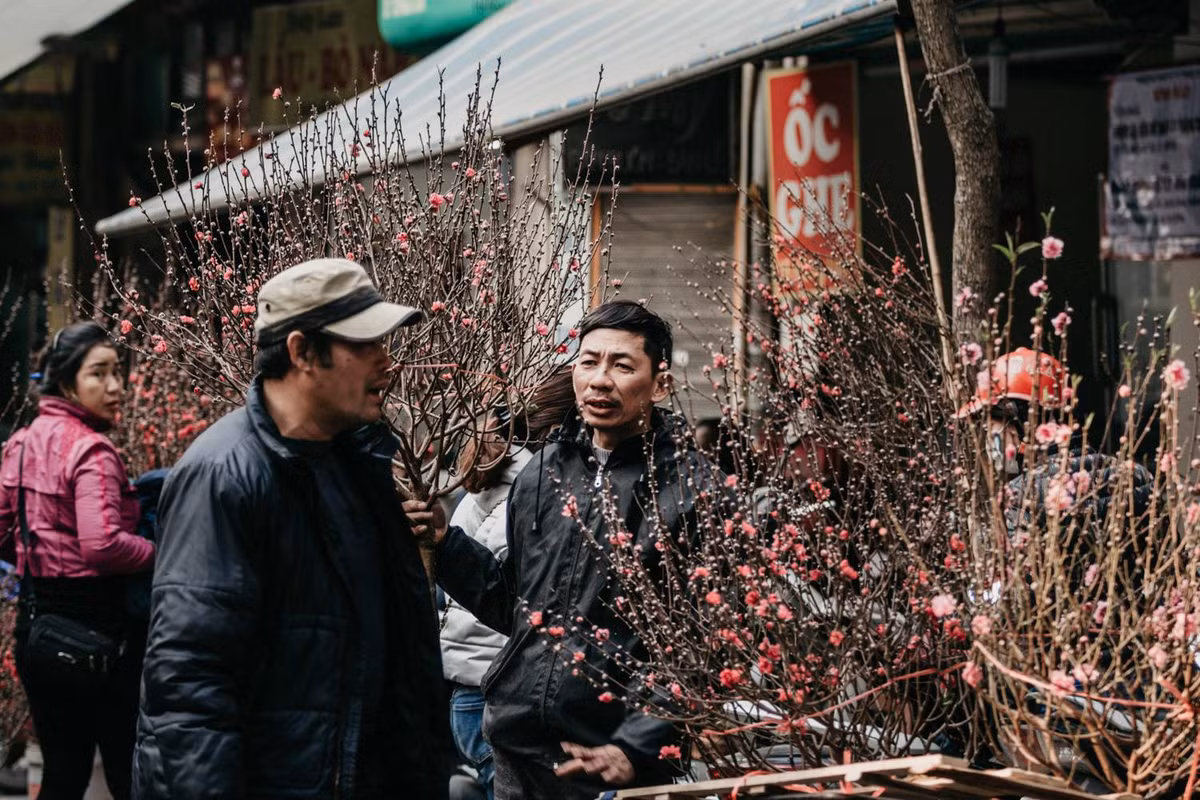 Bất kỳ người Hà Nội nào, cũng có ít nhiều kỷ niệm với chợ hoa Hàng Lược. Đến chợ, không vội vàng, hối hả, không bon chen, xô lấn, phải thật sự kiên nhẫn, nhấn nhá vừa đi vừa ngắm.