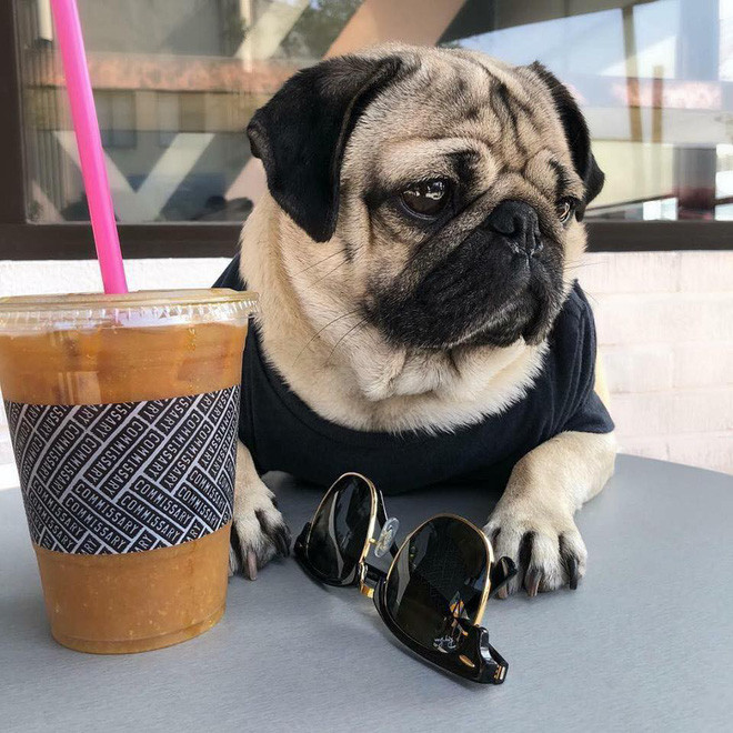 Cafe cũng phải sang chảnh, kính phải hàng hiệu thì mới vừa lòng.