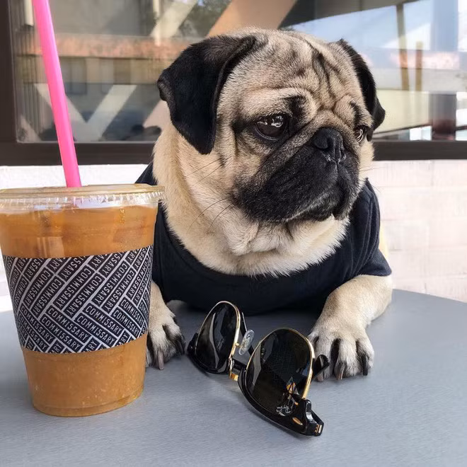 Cafe cũng phải sang chảnh, kính phải hàng hiệu thì mới vừa lòng.