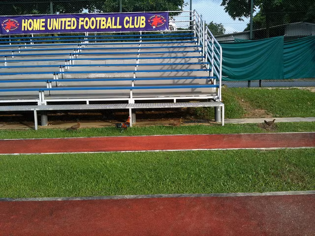 Bishan là sân nhà của CLB Home United, đội đang thi đấu tại giải S.League (giải đấu cao nhất trong hệ thống các giải đấu bóng đá Singapore).