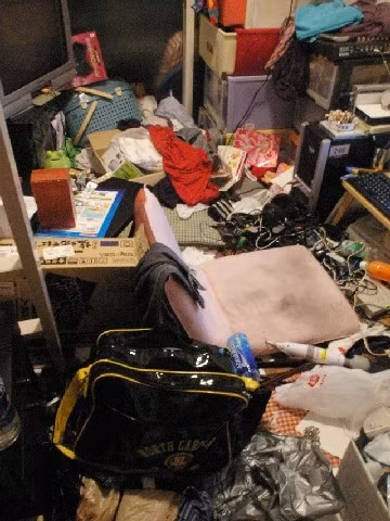 Không ít người tỏ ra ngán ngẩm và bức xúc với phong cách sống bừa bãi, cẩu thả của hủ nhân của căn phòng bẩn kinh hoàng này.