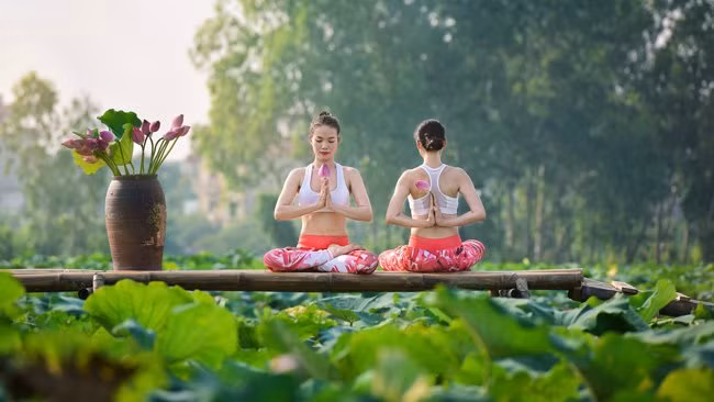 Cũng theo bình luận của những người từng theo tập yoga, thì tập bộ môn này cần một sự tĩnh tâm nhất định và khung cảnh tĩnh mịch của hồ sen là nơi tập lý tưởng.