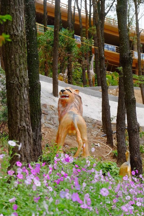 Nhiều người khi ngắm chú sư tử đá trên đều có chung nhận xét rằng "thần thái" của nó chẳng khác gì một chú chó nhà bình thường.