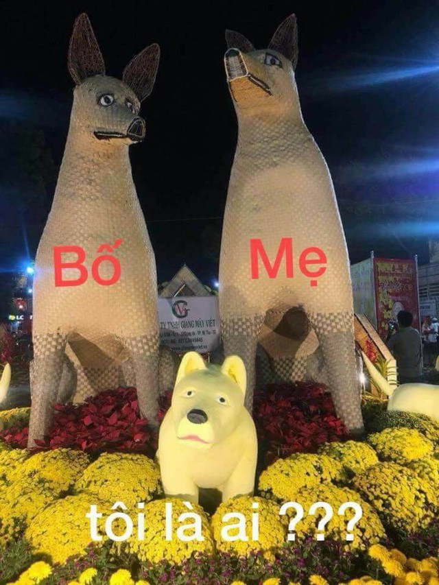 Hình ảnh được chú ý trên đường Hùng Vương (Mỹ Tho, Tiền Giang) Tết Nguyên Đán 2018 vừa qua. Chú chó vàng có gương mặt buồn rười rượi, đôi mắt cụp như đang hờn dỗi.