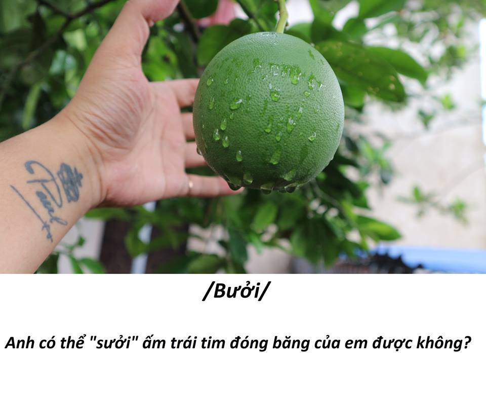 "Nhà em có bán bưởi không? Sao nói chuyện với em anh muốn "sưởi" ấm trái tim em quá?".