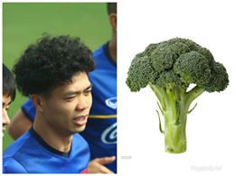 Với mái đầu xù của tiền đạo Công Phượng, nhiều người đã nghĩ ngay tới cây súp lơ xanh.