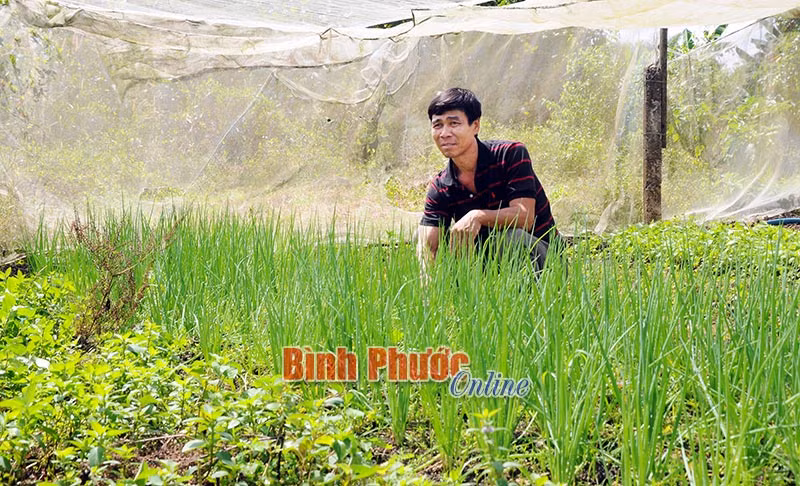 Phat sot: Trong 2 sao tia to, kinh gioi... lai 12 trieu dong/thang