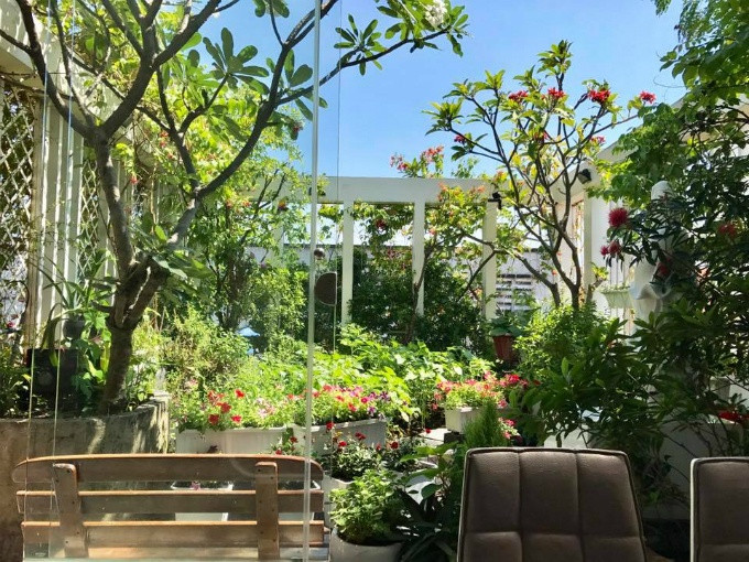 Chị Nguyễn Thanh Hiền, giám đốc công ty Lantavina, đang sống tại quận Tân Bình, TP HCM, bắt tay vào xây dựng khu vườn rau sạch trên cao từ cách đây 7-8 năm. Lúc đó, con gái chị bị bệnh nên mục đích chính của vợ chồng chị là có nguồn cung cấp rau sạch cho con cùng cả gia đình.