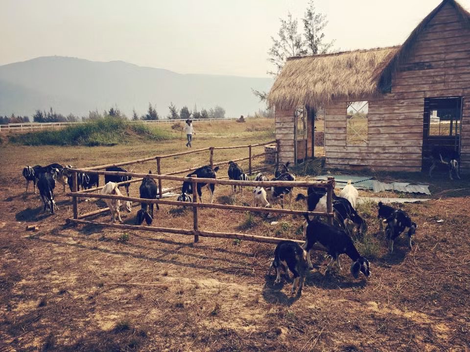 Ngay sau khi hình ảnh đầu tiên về thiên đường châu Âu giữa lòng Đà Nẵng được công bố, các bạn trẻ Đà thành đã ùn ùn tới đây không chỉ để chụp ảnh mà còn để thả hồn mình vào không gian thoáng đãng và nên thơ.