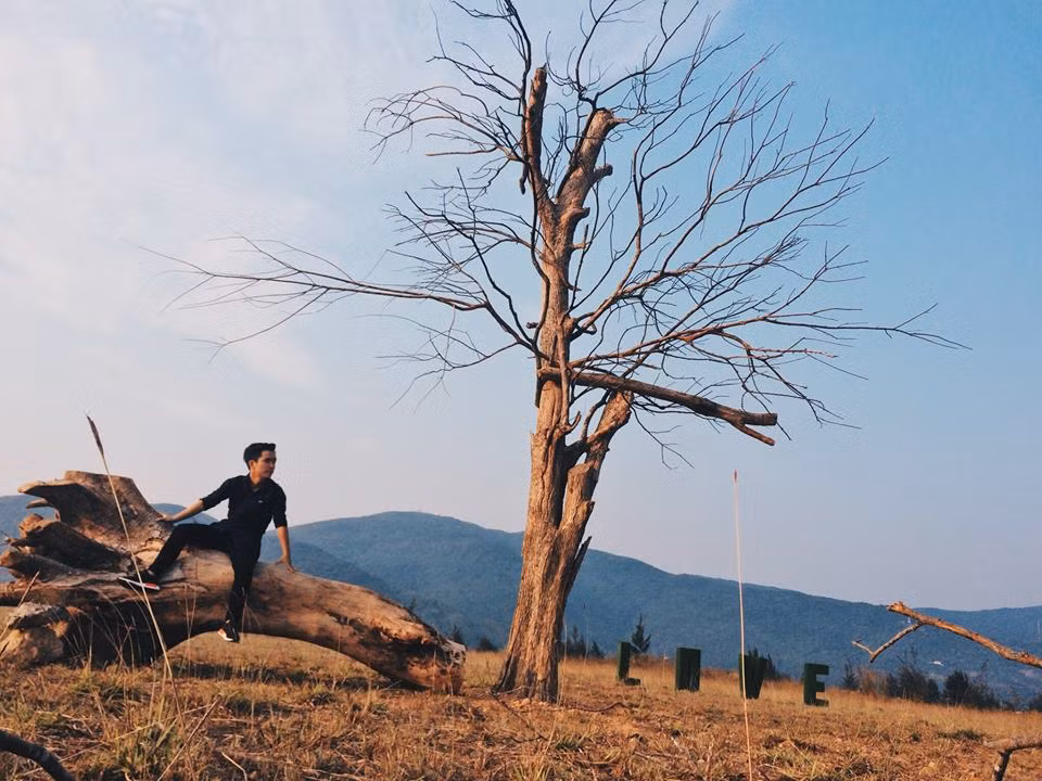 Theo kinh nghiệm của những bạn trẻ từng chụp ảnh phim trường Thuận Phước nói rằng, thời điểm đẹp nhất để có những bức hình đẹp đó là vào buổi chiều, tầm 4h30 để tránh nắng gắt và hoàng hôn phủ xuống.