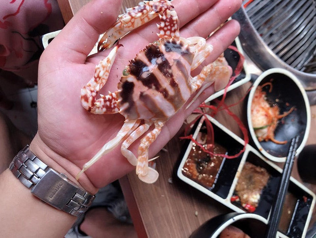 Thieu nu hi hung di an buffet hai san giat minh ghe “to” nhu... cua dong