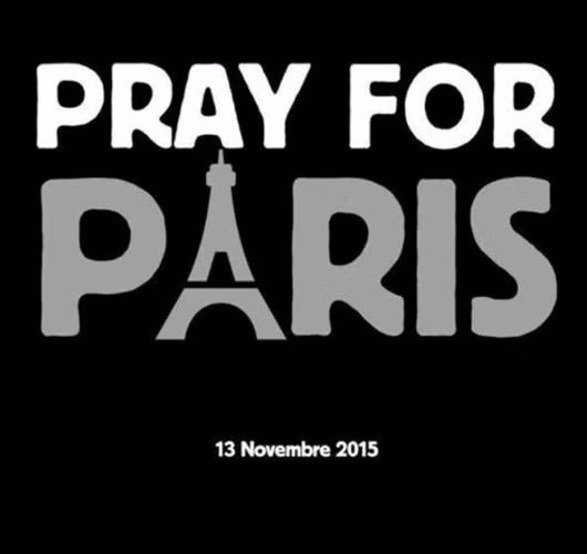 Vụ đánh bom liên hoàn tại Pháp đã cướp đi 158 sinh mạng trong đêm 13/11 theo giờ địa Phương. Những vụ nổ bom lớn cùng với tiếng súng đã nổ ra tại sân vận động Stade De France, nhà hàng và nhà hát.