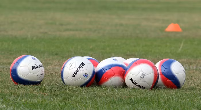 Theo đánh giá của một số chuyên gia, Mikasa SL450 WBR Football sẽ là"quái vật" và có giết chết các thủ môn bởi nó có một quỹ đạo bay khá nhanh và mặt ngoài rất trơn.