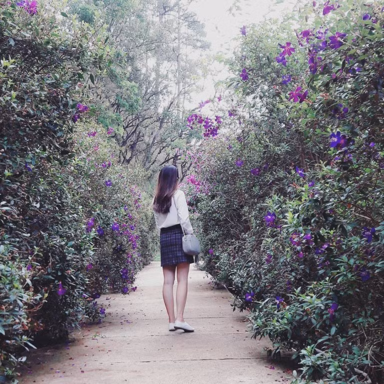 Với khung cảnh thơ mộng và trữ tình, nơi đây còn là một trong những địa điểm dừng chân hết sức thú vị với giá cả rất phải chăng, phù hợp với các bạn phượt thủ đam mê khám phá thiên nhiên.