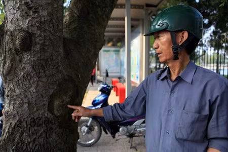 Ông Nguyễn Hoàng Nam (Gia Lâm), lái xe ôm tại khu vực này cho biết: “Cách đây mấy hôm, khoảng 5, 6h sáng, tôi đã thấy một loạt thân cây bị cạo vỏ, khả năng họ lấy về dùng chữa bệnh cho trẻ con. Hiện tượng này cách đây 7- 8 năm cũng đã xảy ra rồi.”
