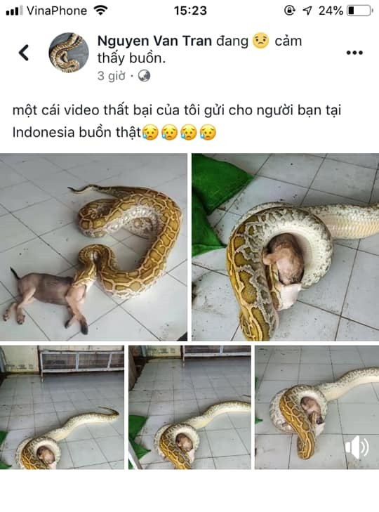 Thanh nien bi len an vi cho tran nuot nguyen con cho