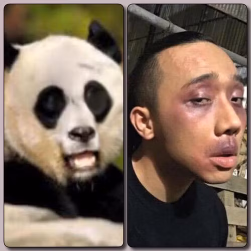 Trước đây, việc ghép ảnh Selfie với những góc mặt và biểu cảm xấu đã manh nha phát triển nhưng không thể lấn át được kiểu chụp ảnh tự sướng "vi diệu" lúc đó rất thịnh hành. Ảnh: Huynh Thanh