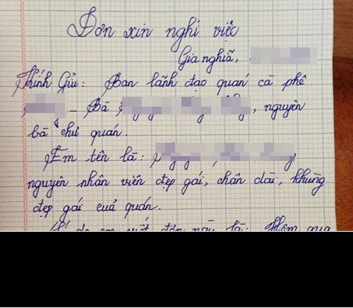 Bên cạnh đó, thành viên Hoang Ha An cũng chia sẻ có phần bức xúc: "Trong khi bao người còn đang thất nghiệp thì chỉ vì một sở thích, bất đồng mà nhiều người dám viết đơn xin nghỉ việc và có phần bất cần".