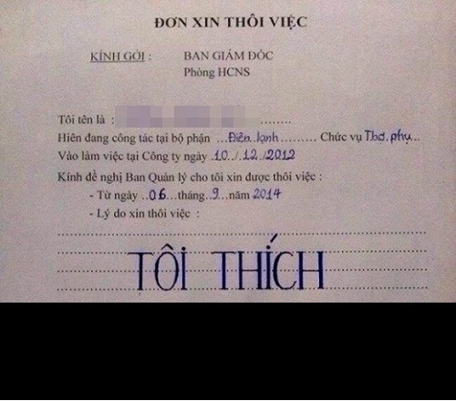 Xin nghỉ việc với lý do "Tôi thích".