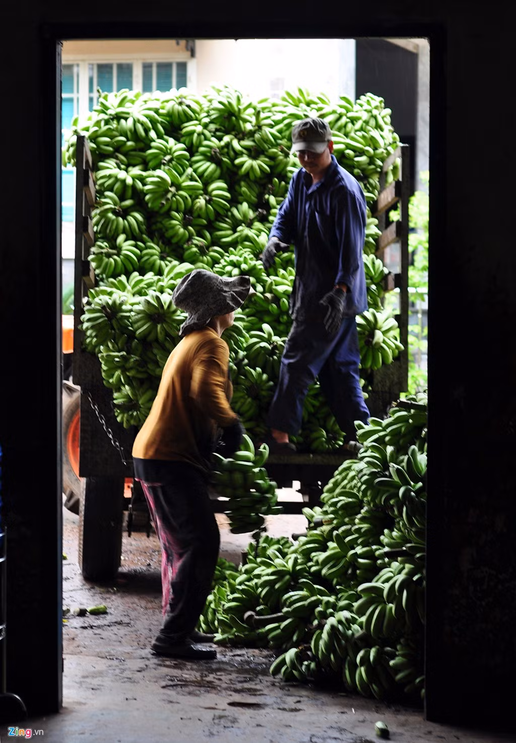 Cặp vợ chồng đưa chuối lên xe công nông tự chế để chuyển đến nơi chế biến.