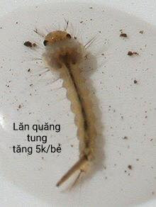 Với những cái tên cực vần, dân mạng đã cho ra mắt trào lưu kinh doanh "thú cưng" kinh dị của mình như sâu sắc xảo, lăng quăng tung tăng hay chí chảnh chọe.