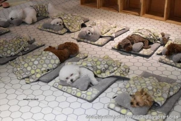 Sau 2 tiết học, các bé sẽ được nghỉ trưa trước khi tiếp tục giờ học buổi chiều.