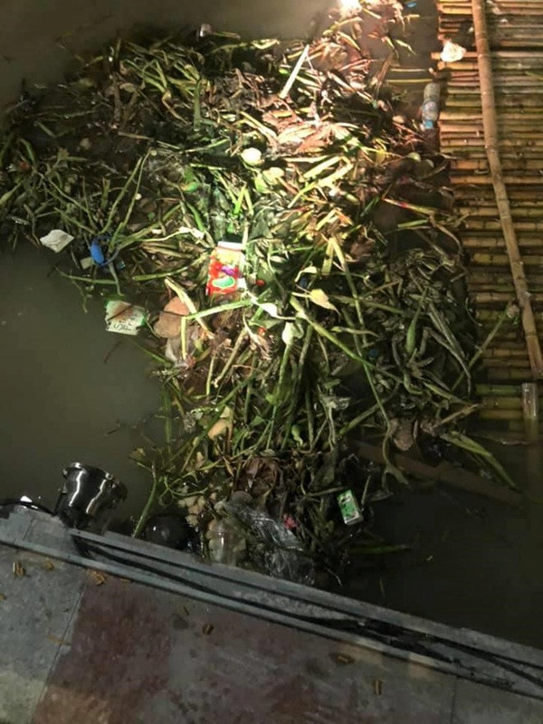 Mặc dù thực hư bức ảnh và nguyên nhân gây ra tình trạng trên chưa được xác thực nhưng đa phần mọi người đều bày tỏ sự phẫn nộ và lên án mạnh mẽ tình trạng xả rác thải ra sông Tam Bạc.