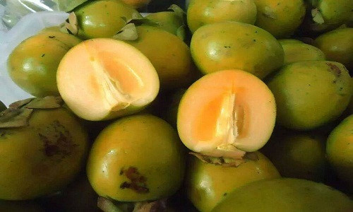 Hong khong hat, dac san Bac Kan tren 100 nam tuoi