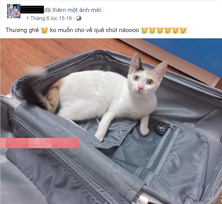 Còn về phía dân mạng, sau khi nghe tin và theo dõi diễn biến sự việc, họ đã bày tỏ bàng hoàng, thương tiếc với gia đình và cá nhân cô sinh viên trường sân khấu điện ảnh. Nickname Anh Tú có chia sẻ: ""Chị T ơi, chị online Facebook và nói với em vụ trên báo kia không phải là chị đi...chị nói với em là không phải đi...".