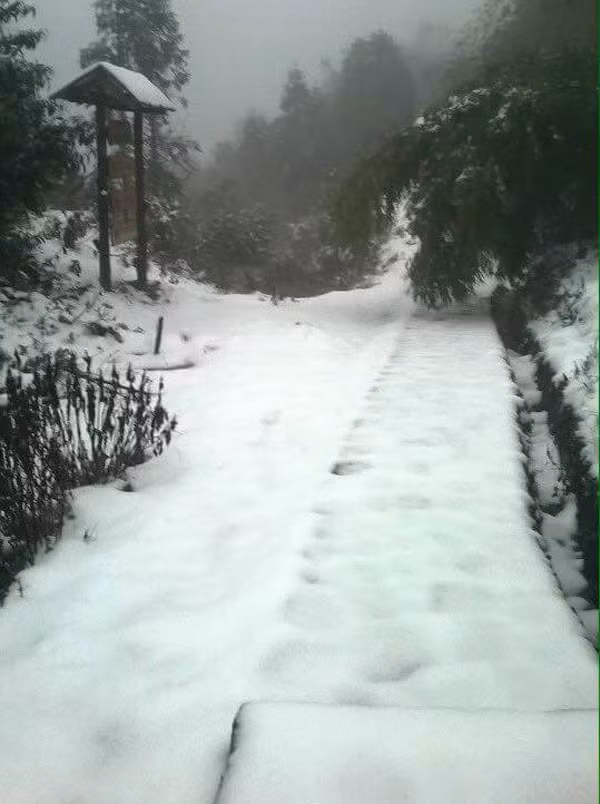 Tuy nhiên, những bức ảnh của H.B nhanh chóng bị dân mạng bóc mẽ tính xác thực. Nhiều người cho rằng những hình ảnh khu du lịch Sapa có tuyết rơi này được chụp từ năm ngoái, bởi với độ phủ tuyết dày đặc và lớn như trong hình thì không có lý nào chỉ một mình chàng trai này chụp được.