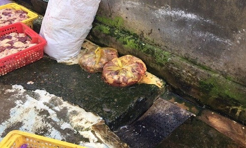 Phat hien hang tram kg thit ga tam han the